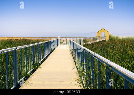 Gang durch den Sumpf bei Alviso Marina County Park, San Jose, Kalifornien Stockfoto