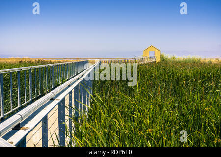 Gang durch den Sumpf bei Alviso Marina County Park, San Jose, Kalifornien Stockfoto