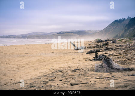 Treibholz an einem Sandstrand an der Pazifik Küste an einem nebligen Nachmittag, Kalifornien Stockfoto