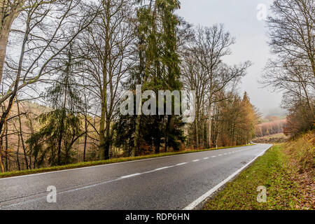 Schönes Bild eines leeren Wald Straße zwischen Bäumen an einem bewölkten Tag in den Belgischen Ardennen Stockfoto