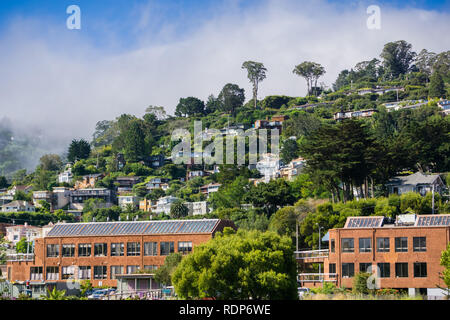 Häuser auf den Hügeln von Sausalito, nördlich der Bucht von San Francisco, Kalifornien Stockfoto