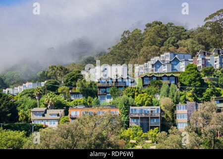 Häuser auf den Hügeln von Sausalito, nördlich der Bucht von San Francisco, Kalifornien Stockfoto