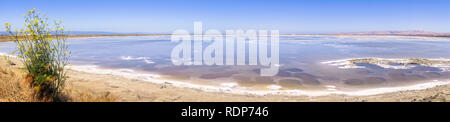 Panorama der Salinen bei Alviso Marina County Park, San Jose, San Francisco Bay, Kalifornien Stockfoto