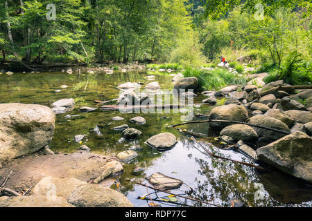 San Lorenzo Fluss durch Santa Cruz Mountains, Kalifornien Stockfoto