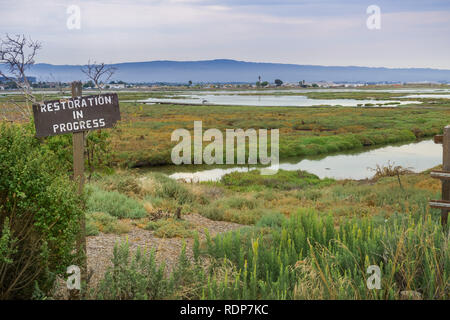 Restaurierung in der Feuchtgebiete in Alviso Marsh, Don Edwards Wildlife Refuge, South San Francisco Bay, Kalifornien Stockfoto