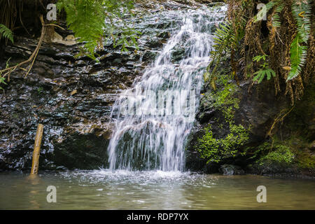 Tiptoe Wasserfall in Portola Redwoods State Park, Kalifornien Stockfoto