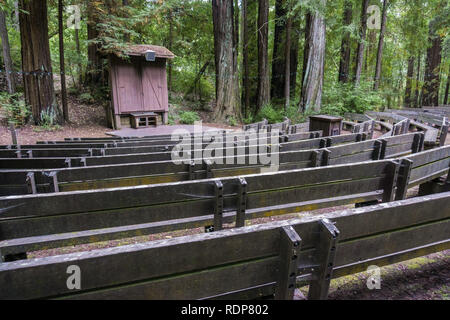 Amphitheater in einem Redwood Bäume Wald, Portola Redwoods State Park, Kalifornien Stockfoto