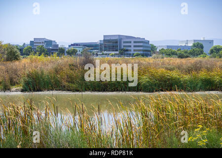 Wasserstraße im Süden der Bucht von San Francisco; Yahoo HQ im Hintergrund; Sunnyvale, Kalifornien Stockfoto