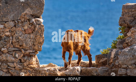 Ziege Aussichtspunkt, von einem Felsvorsprung in Loutro, Kreta Stockfoto