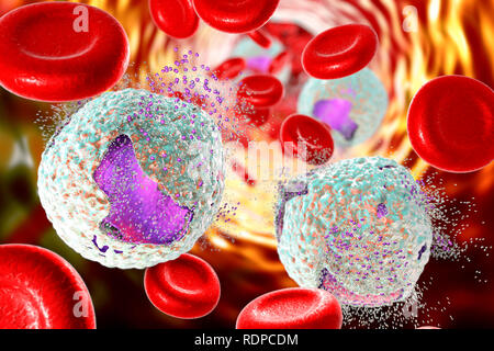 Akute lymphoblastische Leukämie Behandlungskonzept. Computer Abbildung: Zerstörung von Lymphoblast Zellen. Stockfoto