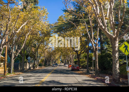 Von Bäumen gesäumten Straße in einem Wohngebiet an einem sonnigen Herbsttag, Oakland, San Francisco Bay, Kalifornien Stockfoto