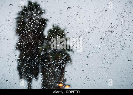 Regentropfen auf dem Fenster an einem verregneten Tag; zwei Palmen im Hintergrund; Kalifornien Stockfoto