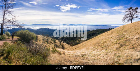 Morgennebel über die Hügel und Täler um Mt Diablo State Park, Contra Costa County, San Francisco Bay Area, Kalifornien Stockfoto