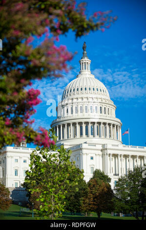 Malerische blauer Himmel Blick auf die Kuppel des US Capitol Gebäude im Sommer grün in der hellen Mittagssonne in Washington DC, USA gerahmt Stockfoto