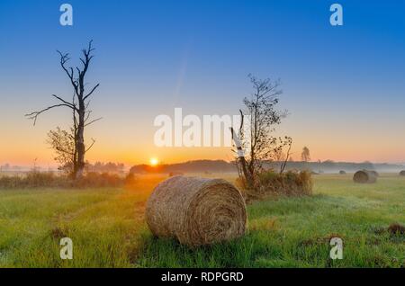 Die herbstlichen Sonnenaufgang auf einem mittlerem - Wald Wiese. Lasocin, Polen, Masowien Provinz. Stockfoto