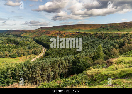 North York Moors Landschaft in Newtondale, aus dem Moor Levisham, North Yorkshire, England, UK gesehen Stockfoto