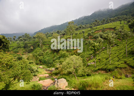 Blick von der Nilgiri Mountain Railway, zwischen Ooty und Mettupalayam, Tamil Nadu, Indien Stockfoto