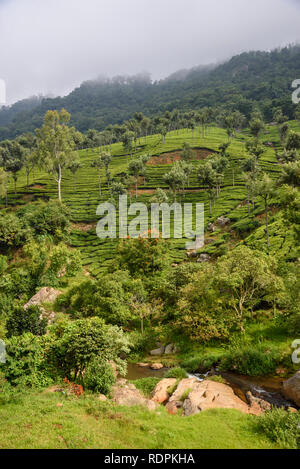 Blick von der Nilgiri Mountain Railway, zwischen Ooty und Mettupalayam, Tamil Nadu, Indien Stockfoto