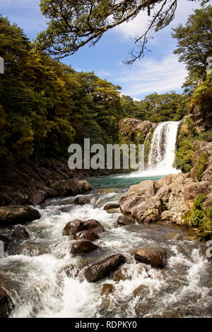 Schöne Tawhai Wasserfall fällt in Neuseeland Stockfoto