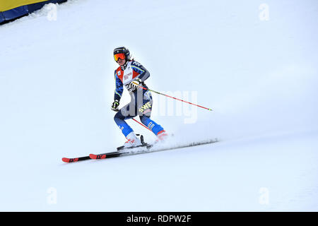 KILLINGTON, Vermont - 24. NOVEMBER: Estelle Alphand Schweden konkurriert im ersten Lauf des Riesenslaloms am Audi FIS Ski World Cup. Stockfoto