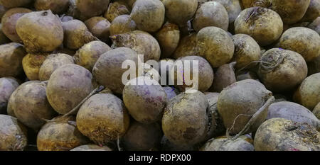 Nahaufnahme der rohen Rüben in Lebensmittelgeschäft. Stockfoto