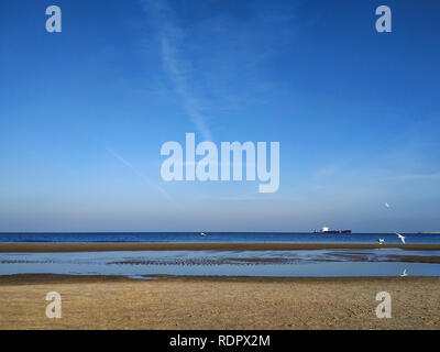 Frühjahr Spaziergang an den Ufern der Ostsee in Swinemünde, Polen Stockfoto