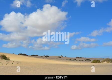 Die goldenen Dünen des Naturparks an der Küste von Corralejo. Fuerteventura, Spanien. Stockfoto