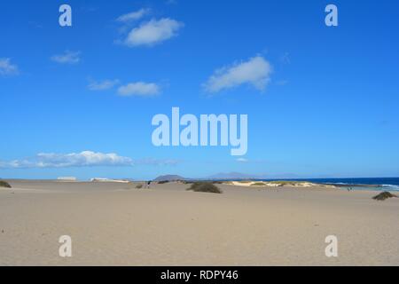 Die goldenen Dünen des Naturparks an der Küste von Corralejo. Fuerteventura, Spanien. Stockfoto