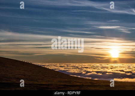 Pferde Silhouetten auf einem Berg über dem Hochnebel bei Sonnenuntergang, mit schönen warmen Farben Stockfoto