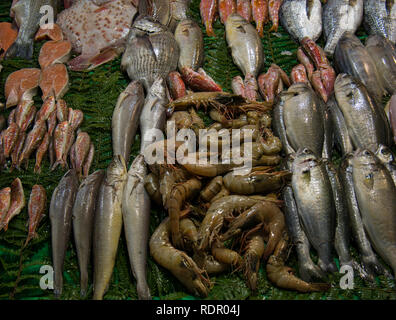 Verkauf von Fischen an einem Markt oder Basar in Istanbul wunderschön präsentiert und organisiert Stockfoto