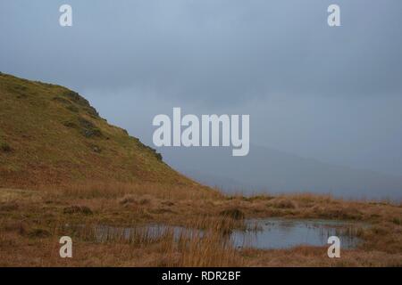Herbstliche Farben (Frühjahr) um einen sumpfigen, sumpfigen, Schilf gesäumten Bergsee (Tarn) im englischen Lake District (Cumbria), typisch für Norden Ger Stockfoto