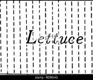 . Gärten und ihre Bedeutung, von Dora Williams. Schule Gärten. Der junge Landwirt Almanach 189 II &Amp; Festplatte. März 29, 1905. In dieser Nacht waren einige Kinder nach der Schule zu trans-Anlage die Tomate. Die Töpfe wurden mit Lehm gefüllt. Es gab nur eine Tomate in jedem Topf, weil die Töpfe sind klein und die Pflanzen groß wachsen. Wir hatten 71 Töpfe in allen und fünfzig - vier Tomaten. Wir haben 17 leere Töpfe. März 31, 1905. Wir beendeten unseren kalten Rahmen. In der morn - ing einige der jungen Samen in sie gepflanzt. Die Samen wurden von Kopfsalat und Radieschen. Der kopfsalat. , Saatgut ist lang, schmal und schwarz. Stockfoto