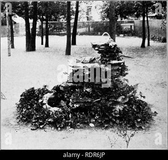 . Gärten und ihre Bedeutung, von Dora Williams. Schule Gärten. 146 GÄRTEN UND IHRE BEDEUTUNG für den Stein Grundlagen; Rohrleitungen wurde von der Stadt Klempner getan; das graue Feld Platten aus Stein wurden durch Glark Universität zu seinem Kind Schwester präsentiert, die Grundschule. Ein Lehrer 1 schrieb Folgendes: Wenn der Maurer seine Arbeit begann, war er in der Stiftung zu setzen, als er dachte, am besten, aber nach, dass er jeden Schlag unter. Die WORCESTER VOGEL BRUNNEN Richtung jener, deren Geist ein fertiges Bild des Brunnens statt. Der Maurer offen erzählte uns, dass er dachte er Stockfoto