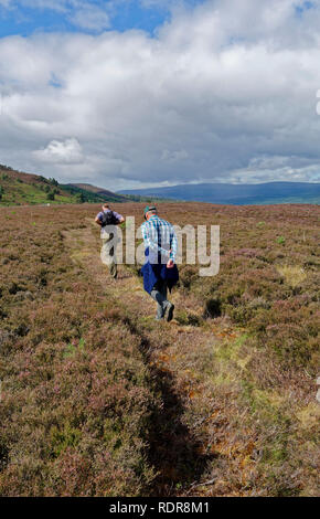 Zwei Männer gehen über Heather Moor im Cairngorms National Park in der Nähe von Boat von Garten, Schottland, Großbritannien Stockfoto