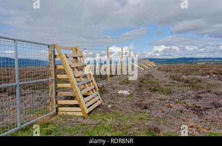 New deer Zaun errichtet neu einheimische Bäume auf Moorland im Cairngorms Nationalpark in der Nähe von Boat von Garten gepflanzt zu schützen. Stockfoto