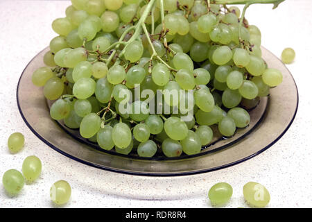 Appetitlich Zweige mit reifen Grüne Traube in transparente Platte auf dem Küchentisch Seitenansicht closeup Stockfoto