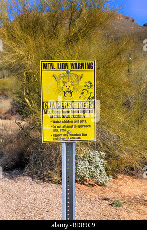 Mountain Lion Warnschild im Sabino Canyon National Forest, Tucson, AZ Stockfoto