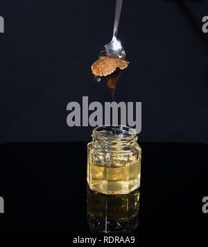 Trüffel Pilz in ein Glas Honig auf schwarzem Hintergrund. Minimalismus in der Komposition. Luxus essen. Freier Platz für Text Stockfoto