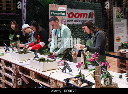 Berlin, Deutschland. Jan, 2019 18. Besucher versuchen Gartenarbeit während der Internationalen Grünen Woche (IGW) Berlin in Berlin, Hauptstadt der Bundesrepublik Deutschland, Jan. 18, 2019. IGW Berlin, eine internationale Ausstellung für die Ernährung, Landwirtschaft und Gartenbau Industries, am Freitag eröffnet und dauert bis zum 14.01.27, Gewinnung von mehr als 1.700 Aussteller aus der ganzen Welt. Credit: Shan Yuqi/Xinhua/Alamy leben Nachrichten Stockfoto