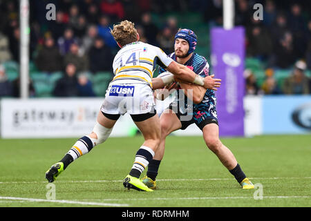 Sixways Stadion, Worcester, Großbritannien. 19. Jan 2019. European Challenge Cup, Worcester vs Stade Francais; Alex Arrate Stade Francais Paris von Tom Howe von Worcester Warriors Kredit angegangen wird: Craig Thomas/news Bilder Credit: Aktuelles Bilder/Alamy Live News Credit: Aktuelles Bilder/Alamy leben Nachrichten Stockfoto