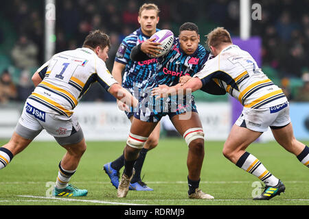 Sixways Stadion, Worcester, Großbritannien. 19. Jan 2019. European Challenge Cup, Worcester vs Stade Francais; Charlie Francoz Stade Francais Paris von Jack Singleton von Worcester Warriors Kredit angegangen wird: Craig Thomas/news Bilder Credit: Aktuelles Bilder/Alamy Live News Credit: Aktuelles Bilder/Alamy leben Nachrichten Stockfoto