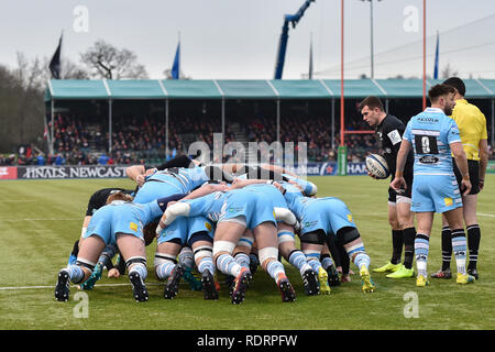 London, Großbritannien. Jan, 2019 19. Die Scrum zwischen Sarazenen und Glasgow Warriors bei Heineken Champions Cup zwischen Sarazenen v Glasgow Krieger der Allianz Park am Samstag, den 19. Januar 2019. LONDON ENGLAND. (Nur redaktionelle Nutzung, eine Lizenz für die gewerbliche Nutzung erforderlich. Keine Verwendung in Wetten, Spiele oder einer einzelnen Verein/Liga/player Publikationen.) Credit: Taka Wu/Alamy leben Nachrichten Stockfoto