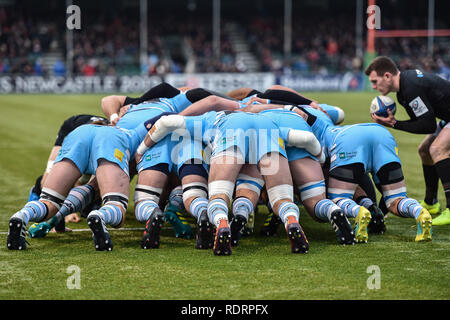 London, Großbritannien. Jan, 2019 19. Die Scrum zwischen Sarazenen und Glasgow Warriors bei Heineken Champions Cup zwischen Sarazenen v Glasgow Krieger der Allianz Park am Samstag, den 19. Januar 2019. LONDON ENGLAND. (Nur redaktionelle Nutzung, eine Lizenz für die gewerbliche Nutzung erforderlich. Keine Verwendung in Wetten, Spiele oder einer einzelnen Verein/Liga/player Publikationen.) Credit: Taka Wu/Alamy leben Nachrichten Stockfoto