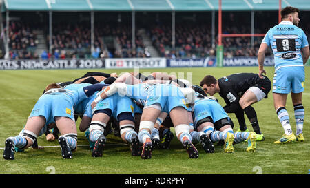 London, Großbritannien. Jan, 2019 19. Die Scrum zwischen Sarazenen und Glasgow Warriors bei Heineken Champions Cup zwischen Sarazenen v Glasgow Krieger der Allianz Park am Samstag, den 19. Januar 2019. LONDON ENGLAND. (Nur redaktionelle Nutzung, eine Lizenz für die gewerbliche Nutzung erforderlich. Keine Verwendung in Wetten, Spiele oder einer einzelnen Verein/Liga/player Publikationen.) Credit: Taka Wu/Alamy leben Nachrichten Stockfoto