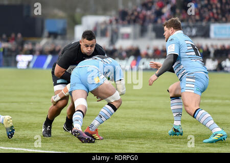 London, Großbritannien. Jan, 2019 19. bei Heineken Champions Cup zwischen Sarazenen v Glasgow Krieger der Allianz Park am Samstag, den 19. Januar 2019. LONDON ENGLAND. (Nur redaktionelle Nutzung, eine Lizenz für die gewerbliche Nutzung erforderlich. Keine Verwendung in Wetten, Spiele oder einer einzelnen Verein/Liga/player Publikationen.) Credit: Taka Wu/Alamy leben Nachrichten Stockfoto