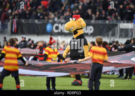 London, Großbritannien. Jan, 2019 19. Sarazenen muscot während Heineken Champions Cup zwischen Sarazenen v Glasgow Krieger der Allianz Park am Samstag, den 19. Januar 2019. LONDON ENGLAND. (Nur redaktionelle Nutzung, eine Lizenz für die gewerbliche Nutzung erforderlich. Keine Verwendung in Wetten, Spiele oder einer einzelnen Verein/Liga/player Publikationen.) Credit: Taka Wu/Alamy leben Nachrichten Stockfoto