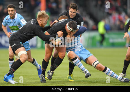 London, Großbritannien. Jan, 2019 19. Jackson Wray von Sarancens während Heineken Champions Cup zwischen Sarazenen v Glasgow Krieger der Allianz Park am Samstag, den 19. Januar 2019. LONDON ENGLAND. (Nur redaktionelle Nutzung, eine Lizenz für die gewerbliche Nutzung erforderlich. Keine Verwendung in Wetten, Spiele oder einer einzelnen Verein/Liga/player Publikationen.) Credit: Taka Wu/Alamy leben Nachrichten Stockfoto