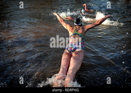 Mlada Boleslav, tschechische Republik. Jan, 2019 19. Polar Schwimmer nehmen an den traditionellen Schwimmen im Fluss Jizera in Mlada Boleslav, 50 Kilometer nördlich von Prag in der Tschechischen Republik. Über zweihundert Schwimmer nahmen an Wasser Temperaturen von 4 Grad Celsius. Credit: Slavek Ruta/ZUMA Draht/Alamy leben Nachrichten Stockfoto