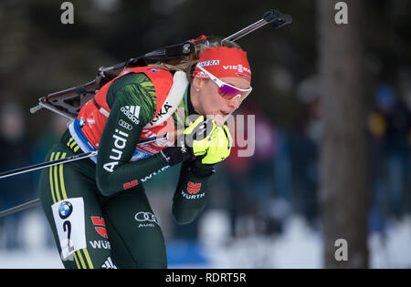 Ruhpolding, Deutschland. Jan, 2019 19. Biathlon: Wm, 4x6 km Frauen Relais in der Chiemgau Arena. Denise Herrmann aus Deutschland auf der Spur Quelle: Sven Hoppe/dpa/Alamy leben Nachrichten Stockfoto