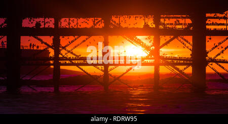 Aberystwyth Wales, Großbritannien, 19. Januar 2019, wie die Sonne sich in Aberystwyth Pier am Ende einer trostlosen feuchten und kalten Januar Tag, Herden von Zehntausenden winziger Stare aus ihrer täglichen Nahrungsaufnahme zurück für die Nacht auf den Wald von Gusseisen Beine unter Victorian seaside Attraktion der Aberystwyth zu Roost. Aberystwyth ist einer der wenigen städtischen Quartieren im Land und zieht Menschen aus der ganzen UK, Zeuge der spektakulären nächtlichen zeigt zwischen Oktober und März. Photo credit Keith Morris/Alamy leben Nachrichten Stockfoto